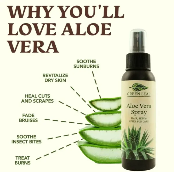 Aloe Mist for Scalp | Mini | Face Hydrator | Sun Care